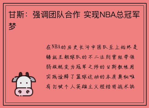 甘斯：强调团队合作 实现NBA总冠军梦